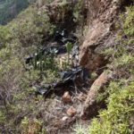 Wir haben nicht herausbekommen, was die Kakteen in den Tüten sollen. Aber es gab sie öfters.