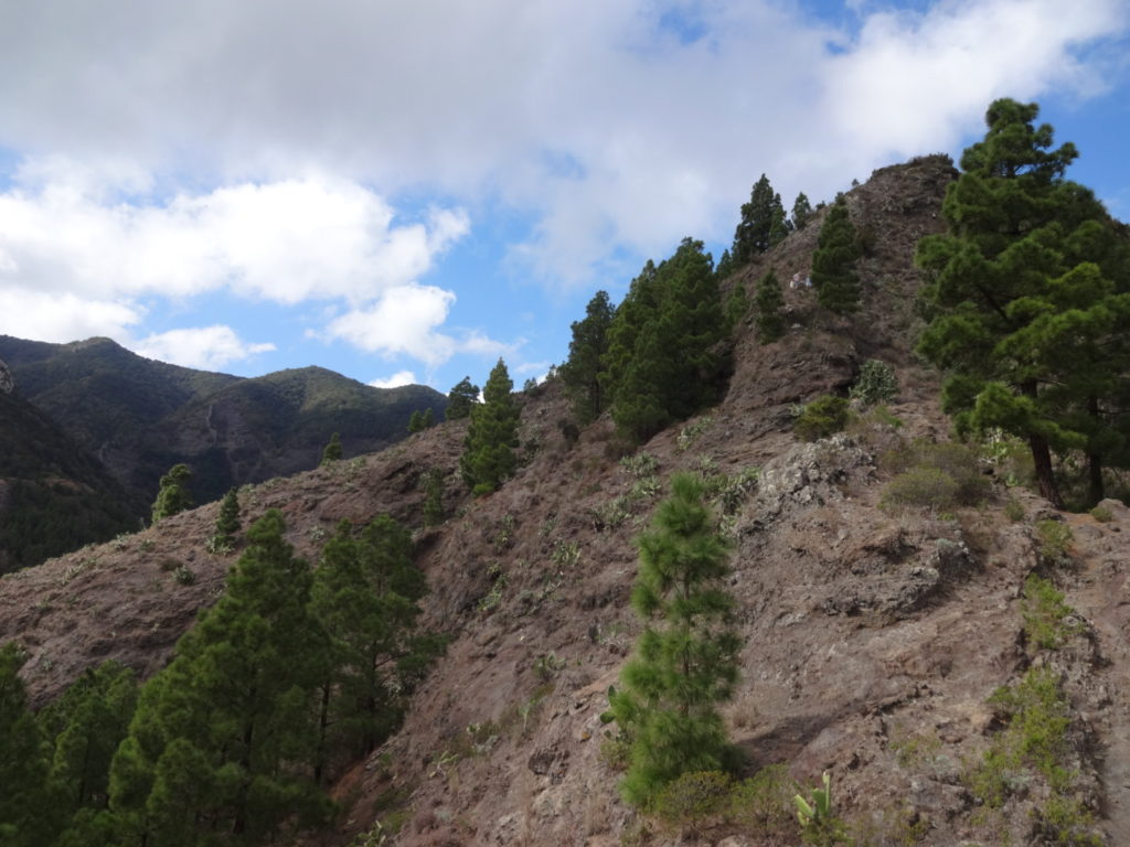 Da haben sich entgegenkommende Wanderer verlaufen - wir kamen links über die Schulter.