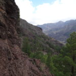 Zu dem Fahrweg müssen wir.