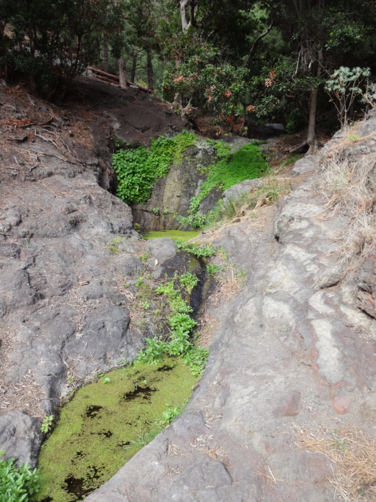 ... der Teil eines Bachlaufs ist. Man glaubt es kaum, auch in dieser trockenen Landschaft gibt es zuweilen fließendes Wasser.