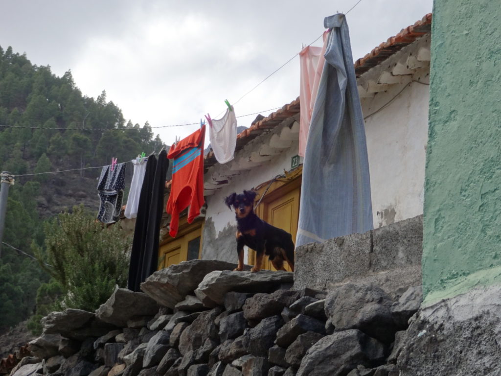 ... begleitet von beflissenen Wächtern.