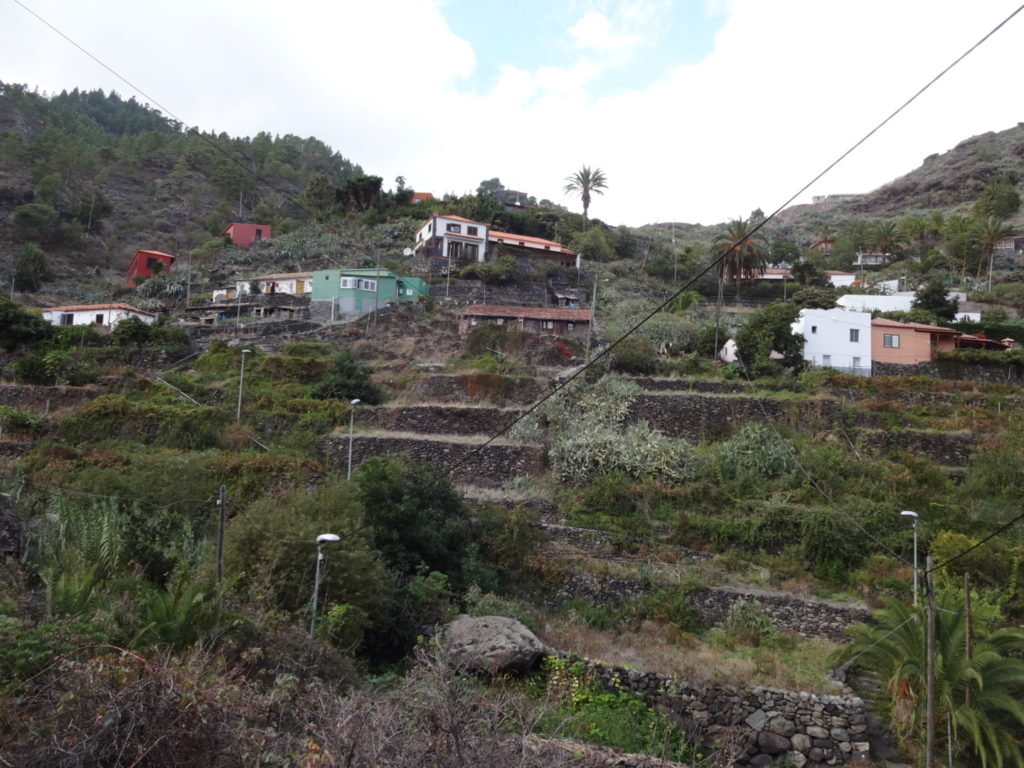"Wir orientieren uns dabei an den Laternen" - sagt der Wanderführer.