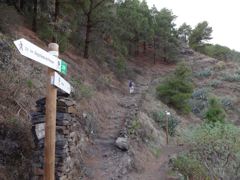 ... und den Weg bergauf zum Roque de Agando nehmen.