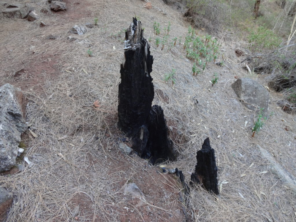 Hier hat es gebrannt...