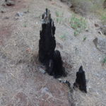 Hier hat es gebrannt...