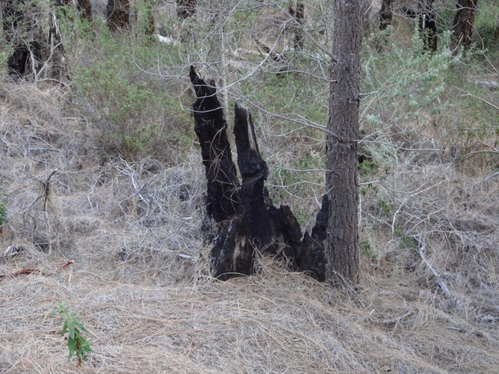 ... das ist gar nicht so lange her.