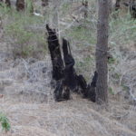 ... das ist gar nicht so lange her.