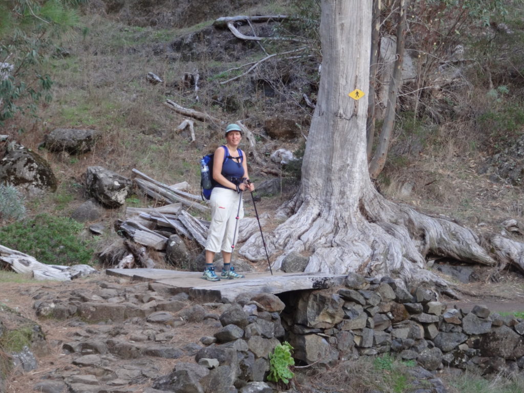 Manchmal scheint hier richtig Wasser zu fließen, wozu bräuchte man sonst solche Brücken?