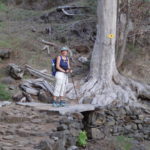 Manchmal scheint hier richtig Wasser zu fließen, wozu bräuchte man sonst solche Brücken?