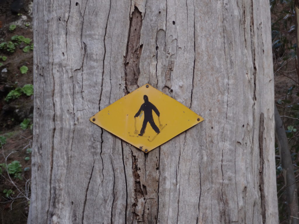 Aber ob man hier wirklich Ski fahren kann?