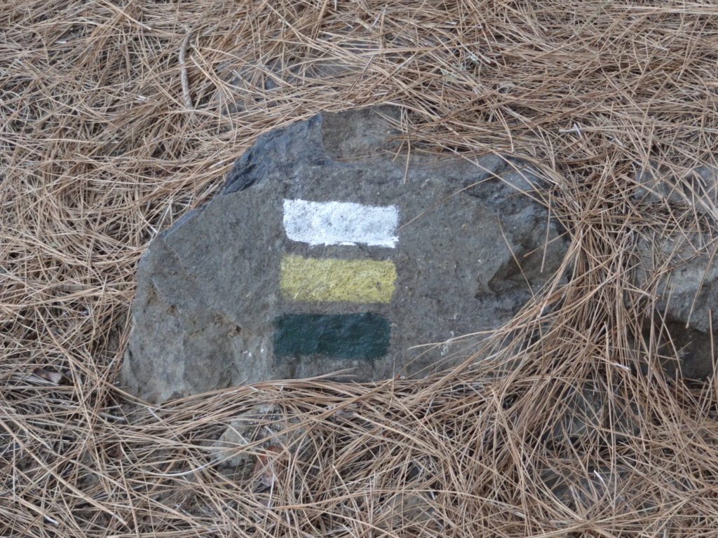 Wir folgen dem Weg weiter, was bleibt uns auch sonst übrig?