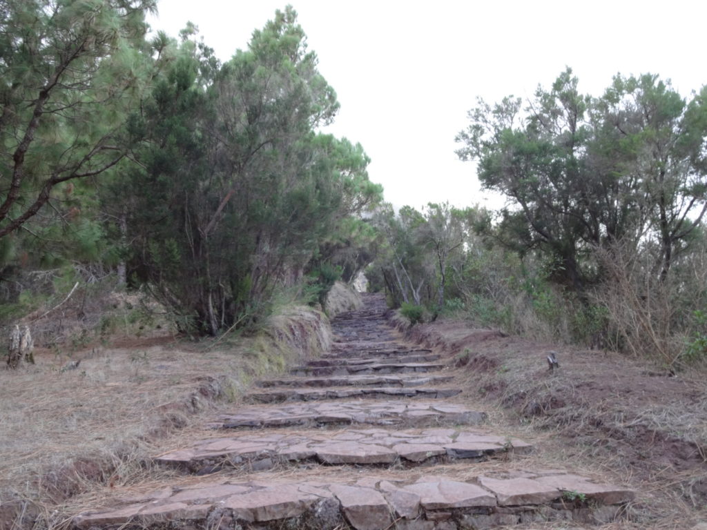 ... und da müssen wir gleich weiter.