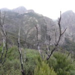 Auch hier hat es gebrannt.