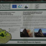 Ein paar Erläuterungen zu den Waldbränden von 1984 und 2012.