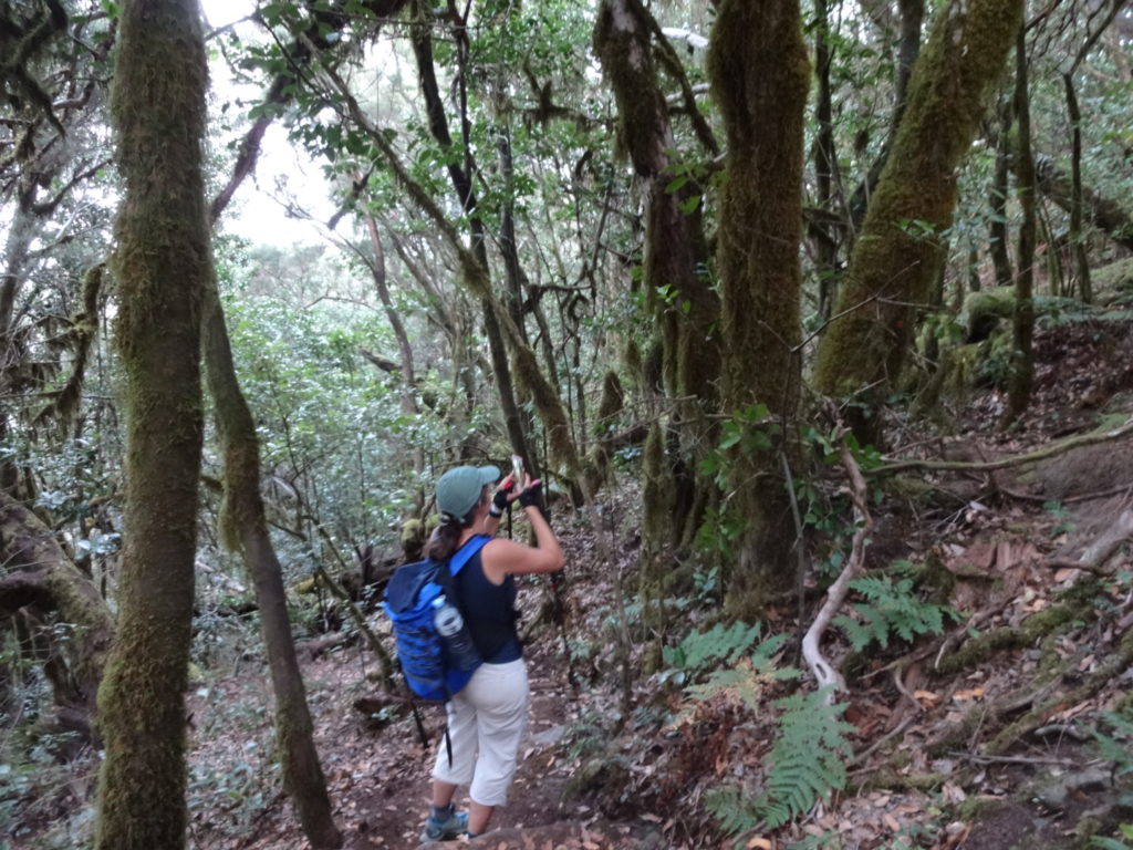 Obwohl wir eigentlich schon ziemlich fertig sind, fotografiert Mareike noch den trolligen Wald.