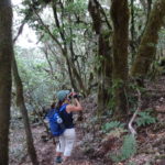 Obwohl wir eigentlich schon ziemlich fertig sind, fotografiert Mareike noch den trolligen Wald.